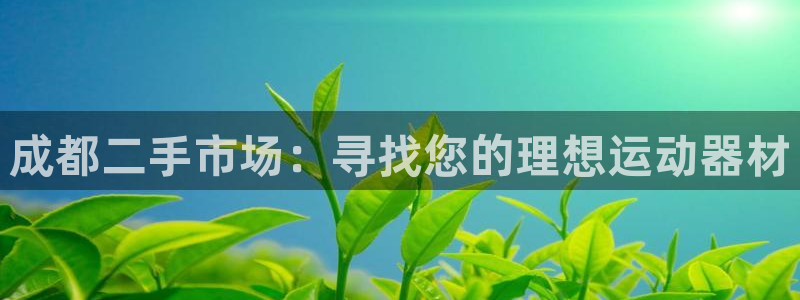 意昂平台体育:成都二手市场:寻找您的理想运动器材
