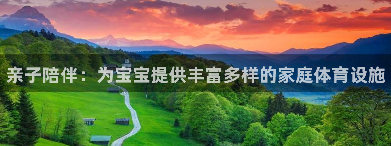 意昂体育4娱乐:亲子陪伴:为宝宝提供丰富多样的家庭体育设施