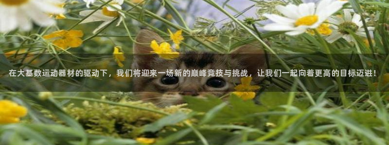 意昂体育4平台注册要钱吗安全吗:在大基数运动器材的驱动下,我