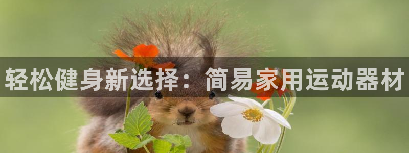 意昂体育4软件:轻松健身新选择:简易家用运动器材