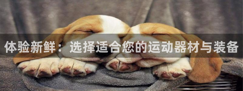 意昂体育4平台假的吗是真的吗吗:体验新鲜:选择适合您的运动器