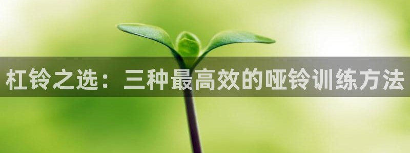 意昂4官方:杠铃之选:三种最高效的哑铃训练方法