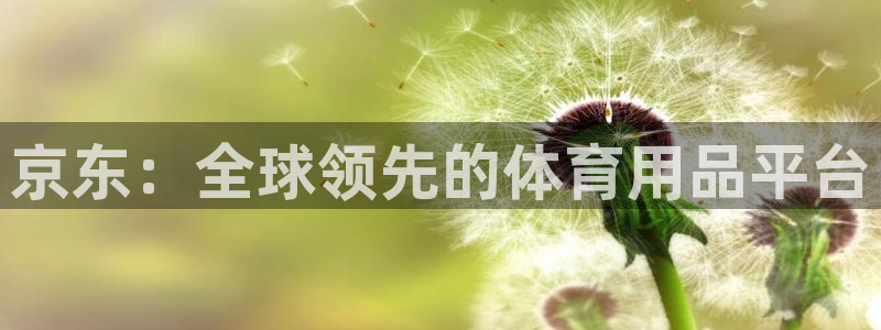 意昂体育4招商电话号码是多少:京东:全球领先的体育用品平台